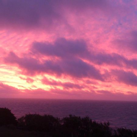Ventnor Bay House Bed & Breakfast Dış mekan fotoğraf